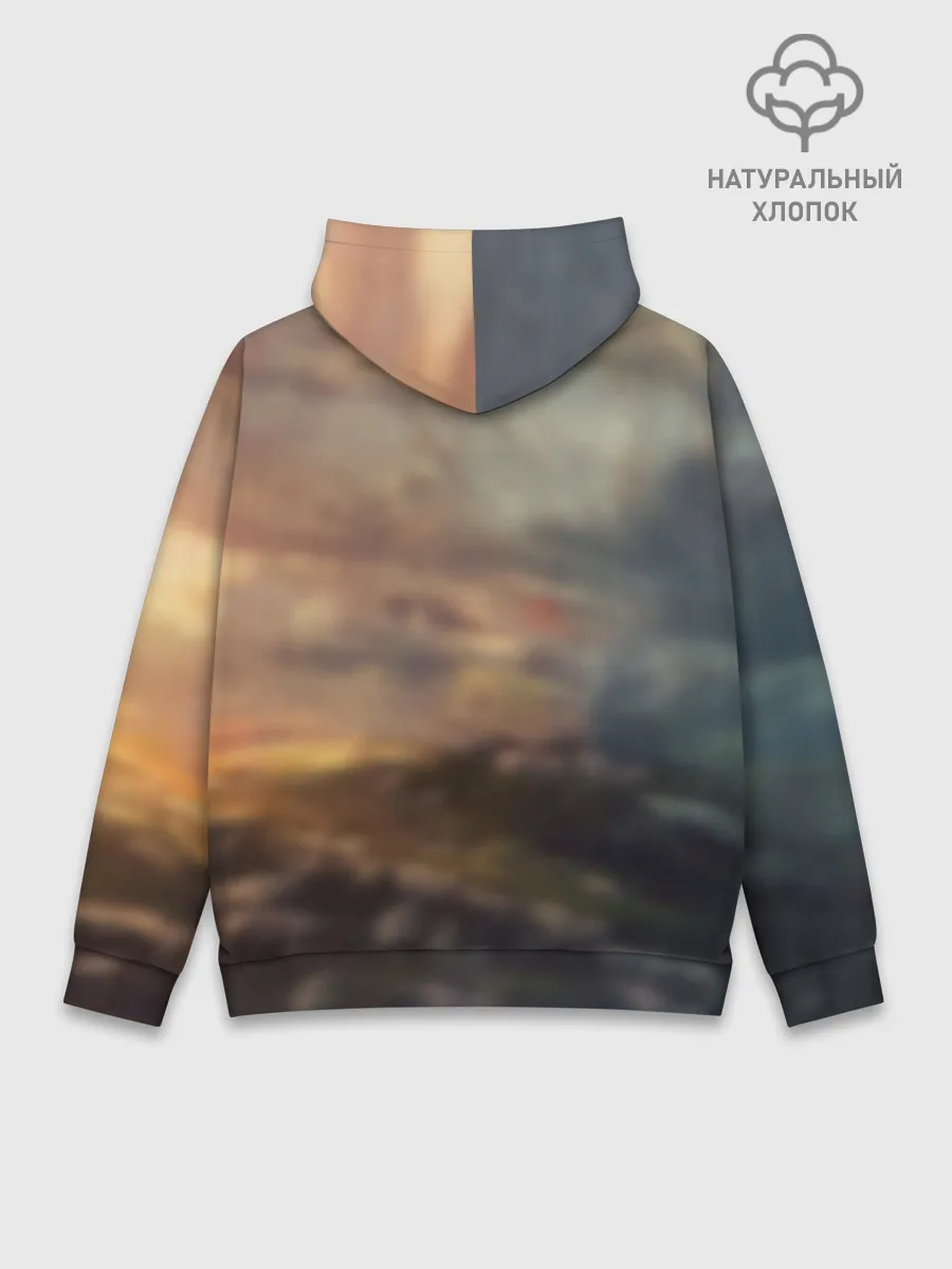 Худи мужской база хлопок / Танки