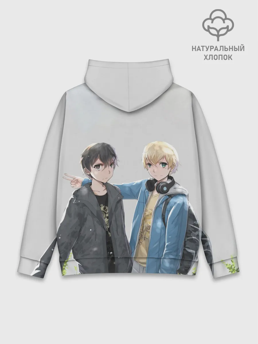 Худи мужской база хлопок / Алисизация САО