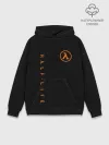 Худи мужской база хлопок / HALF-LIFE