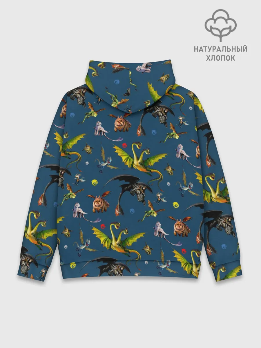 Худи мужской база хлопок / Как приручить дракона
