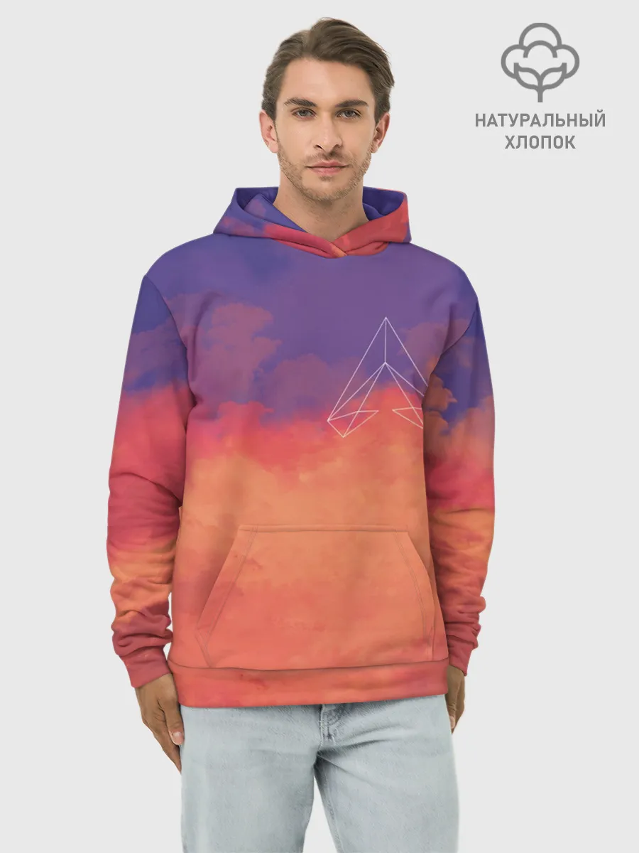 Худи мужской база хлопок / Apex