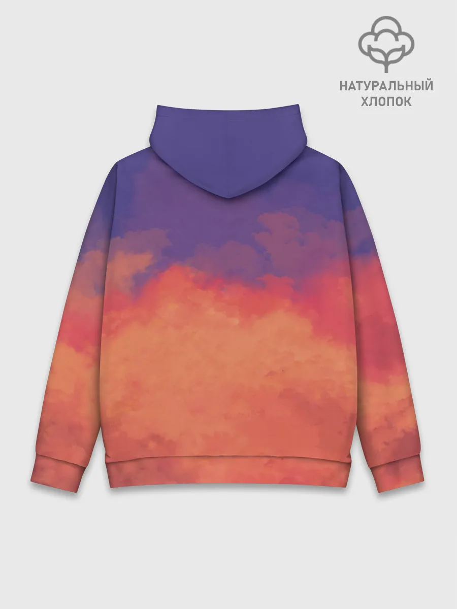 Худи мужской база хлопок / Apex