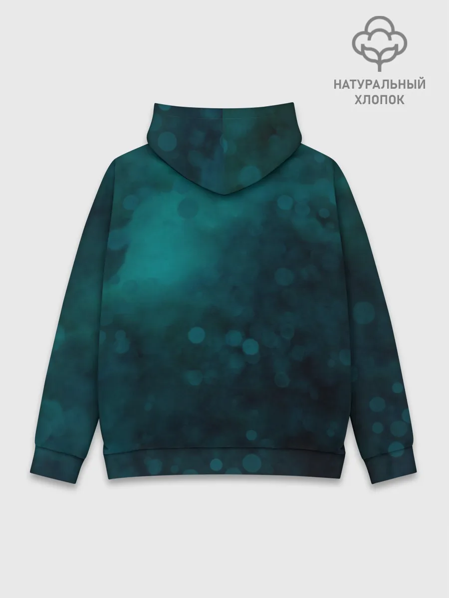 Худи мужской база хлопок / TOP. Chlorine. NED