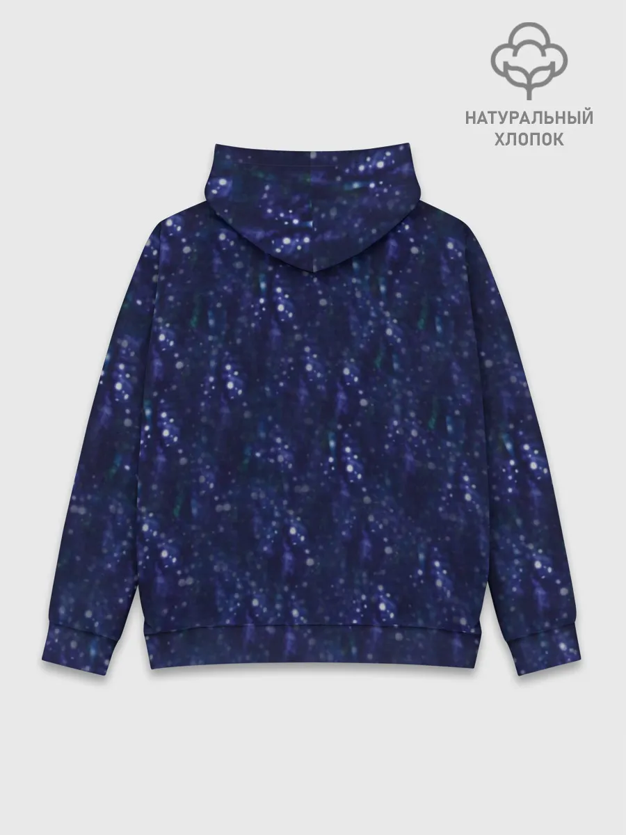 Худи мужской база хлопок / Как приручить дракона