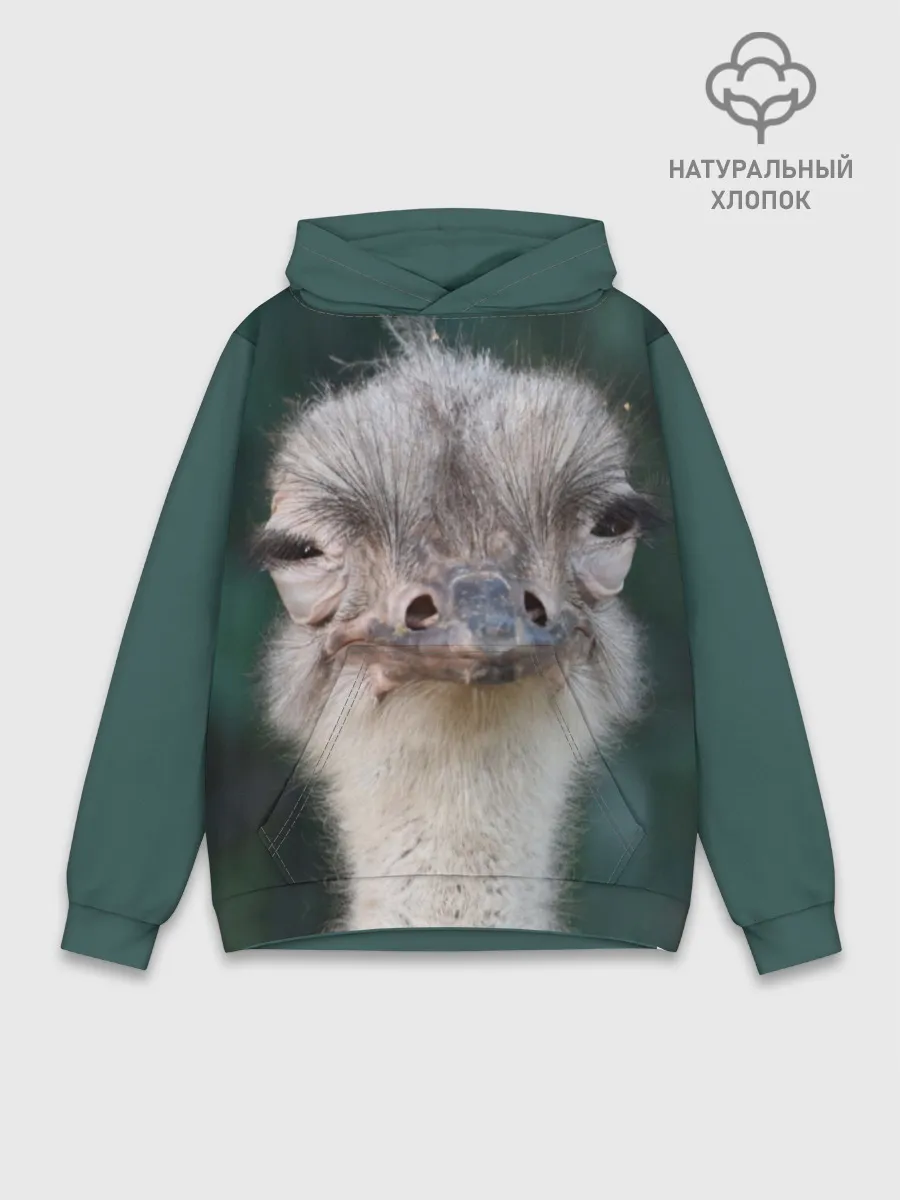 Худи мужской база хлопок / Подозрительный страус