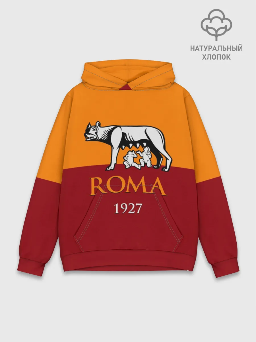 Худи мужской база хлопок / Рома