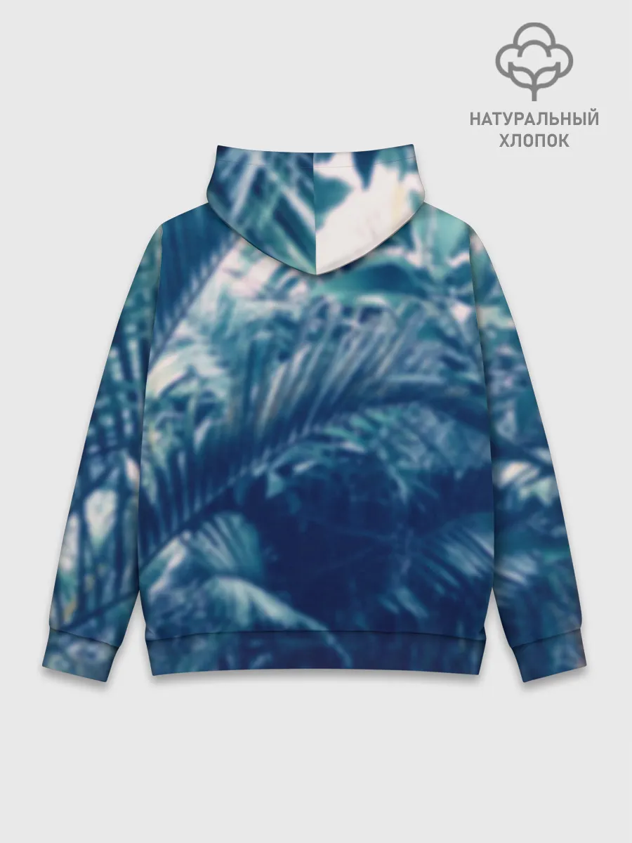 Худи мужской база хлопок / Попугай