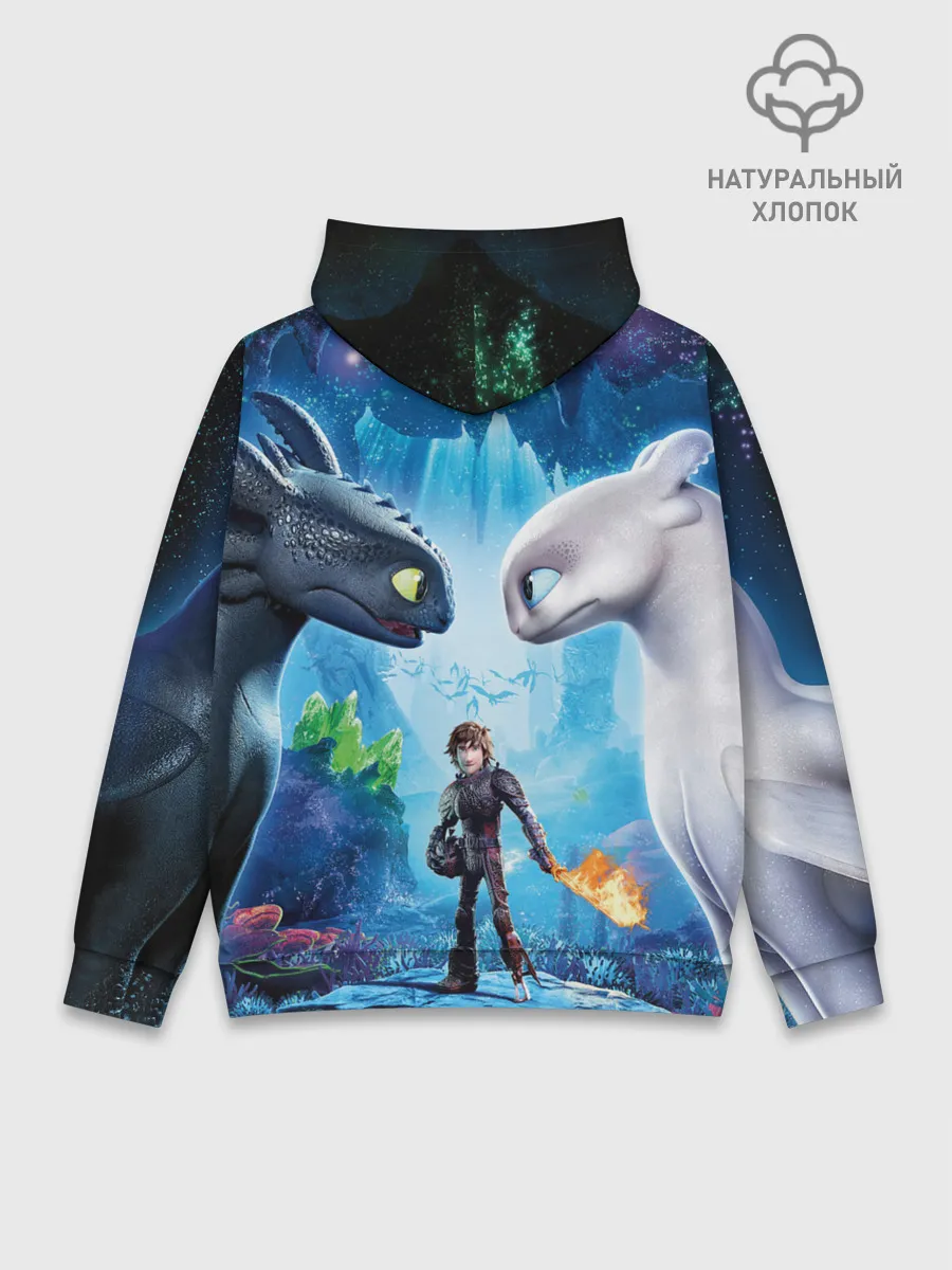 Худи мужской база хлопок / Как приручить дракона 3