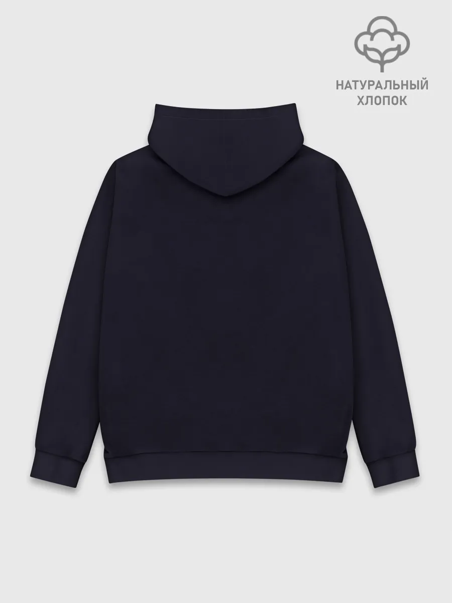 Худи мужской база хлопок / ночная фурия