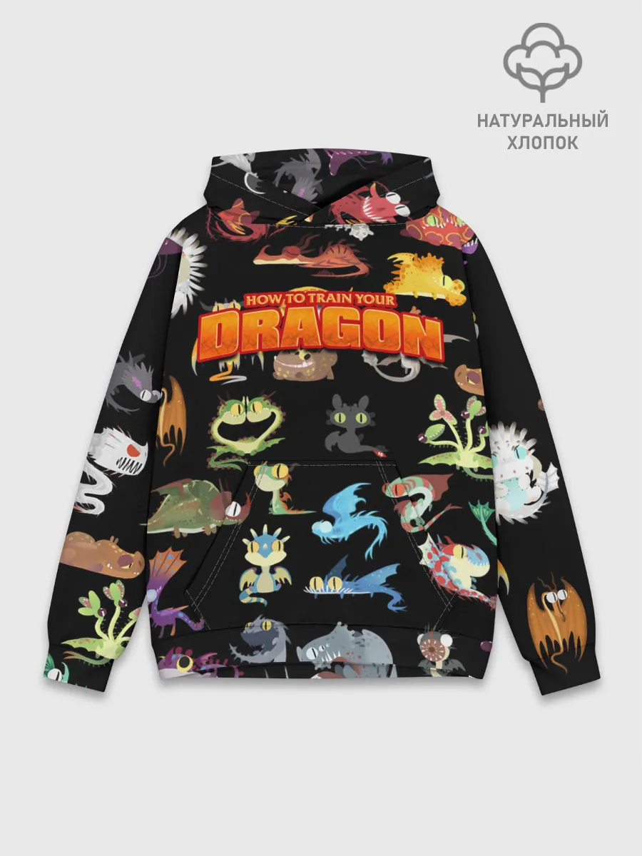 Худи мужской база хлопок / How to Train Your Dragon