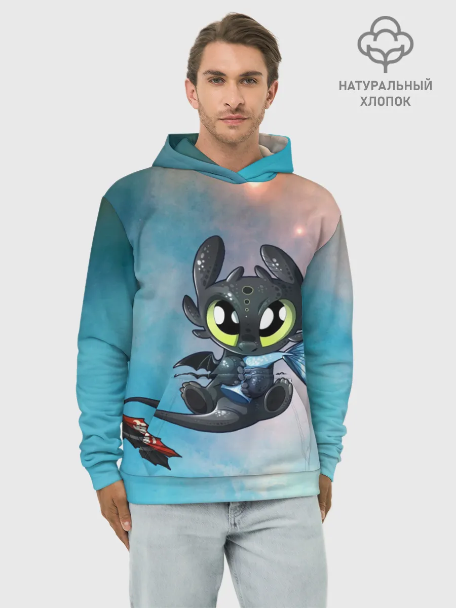 Худи мужской база хлопок / ночная фурия