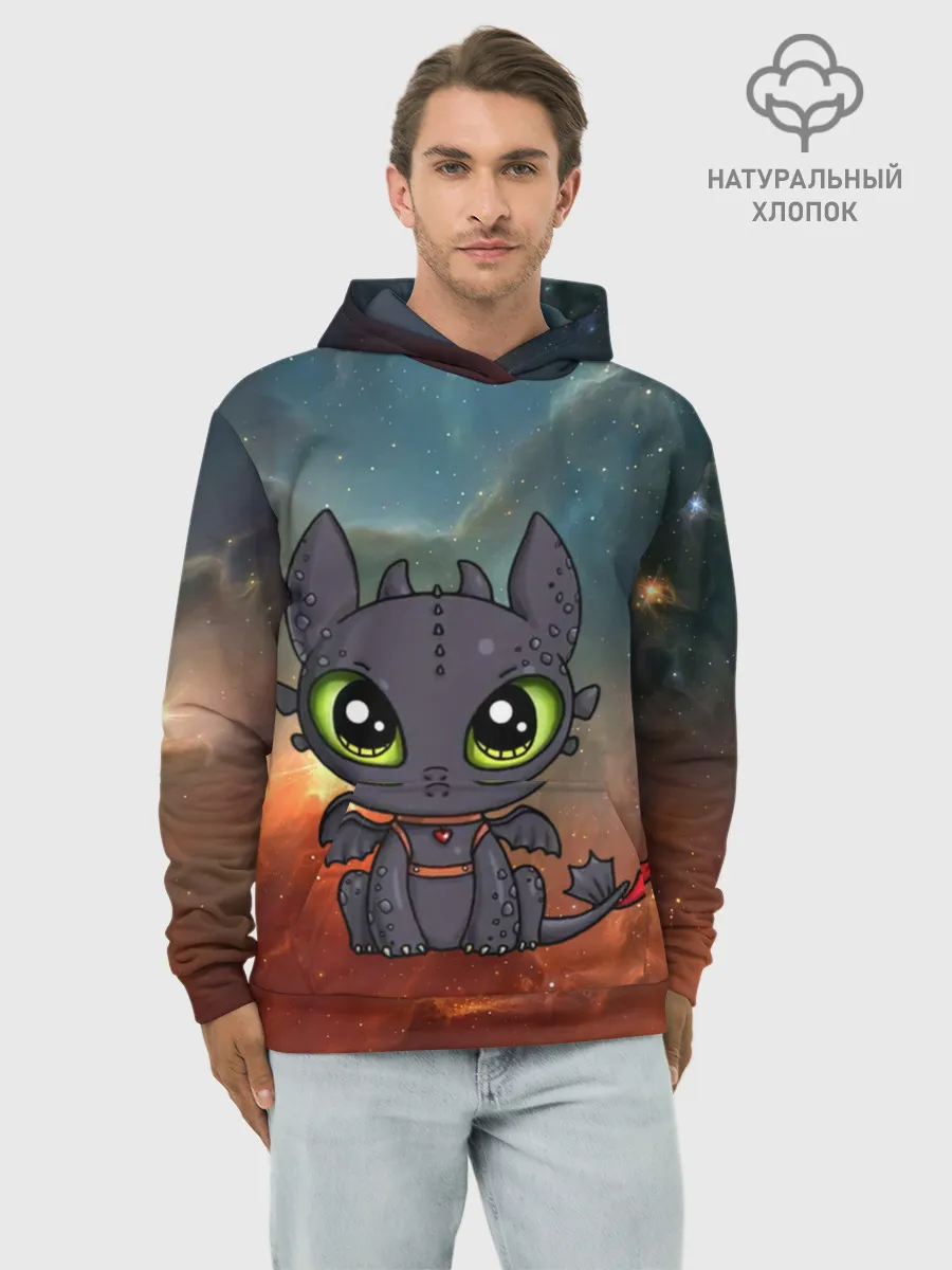 Худи мужской база хлопок / ночная фурия