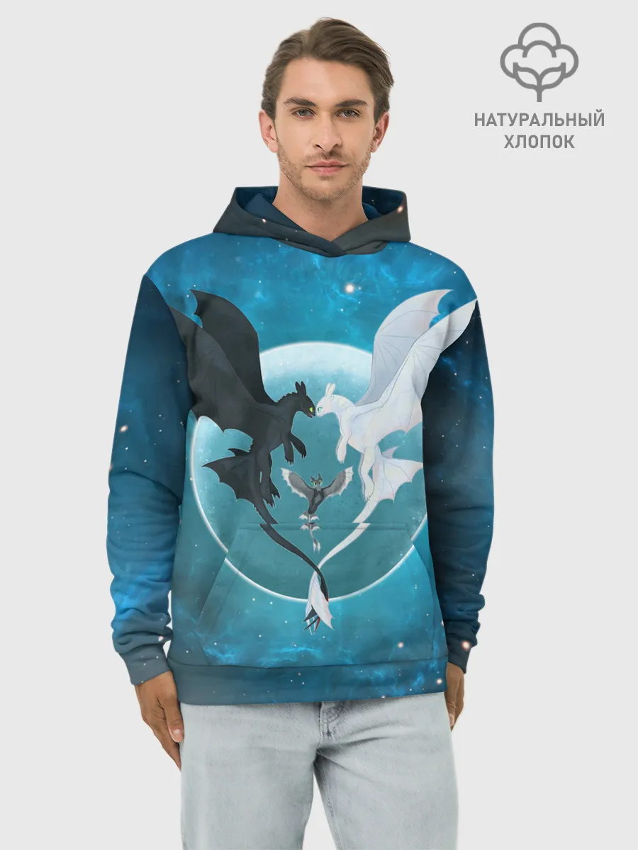 Худи мужской база хлопок / ночная фурия
