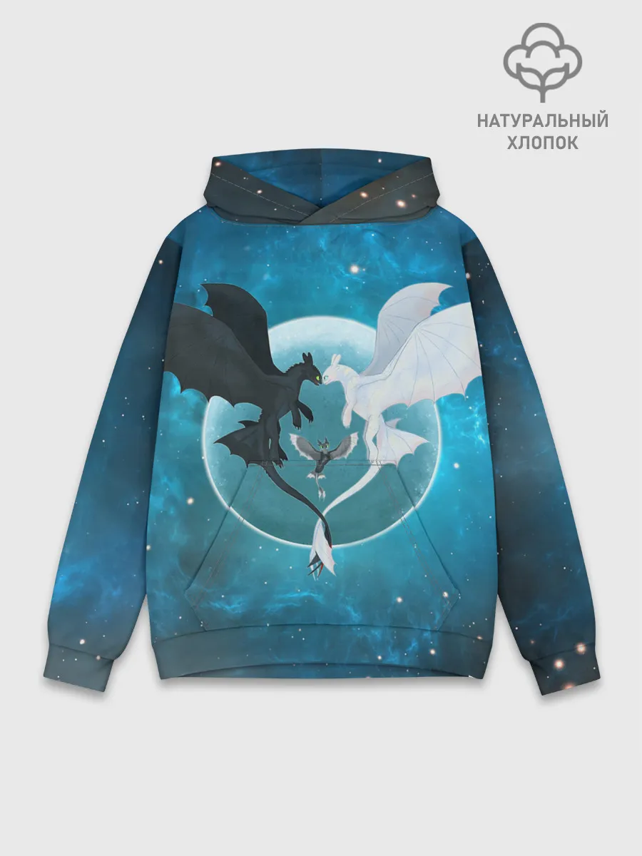 Худи мужской база хлопок / ночная фурия