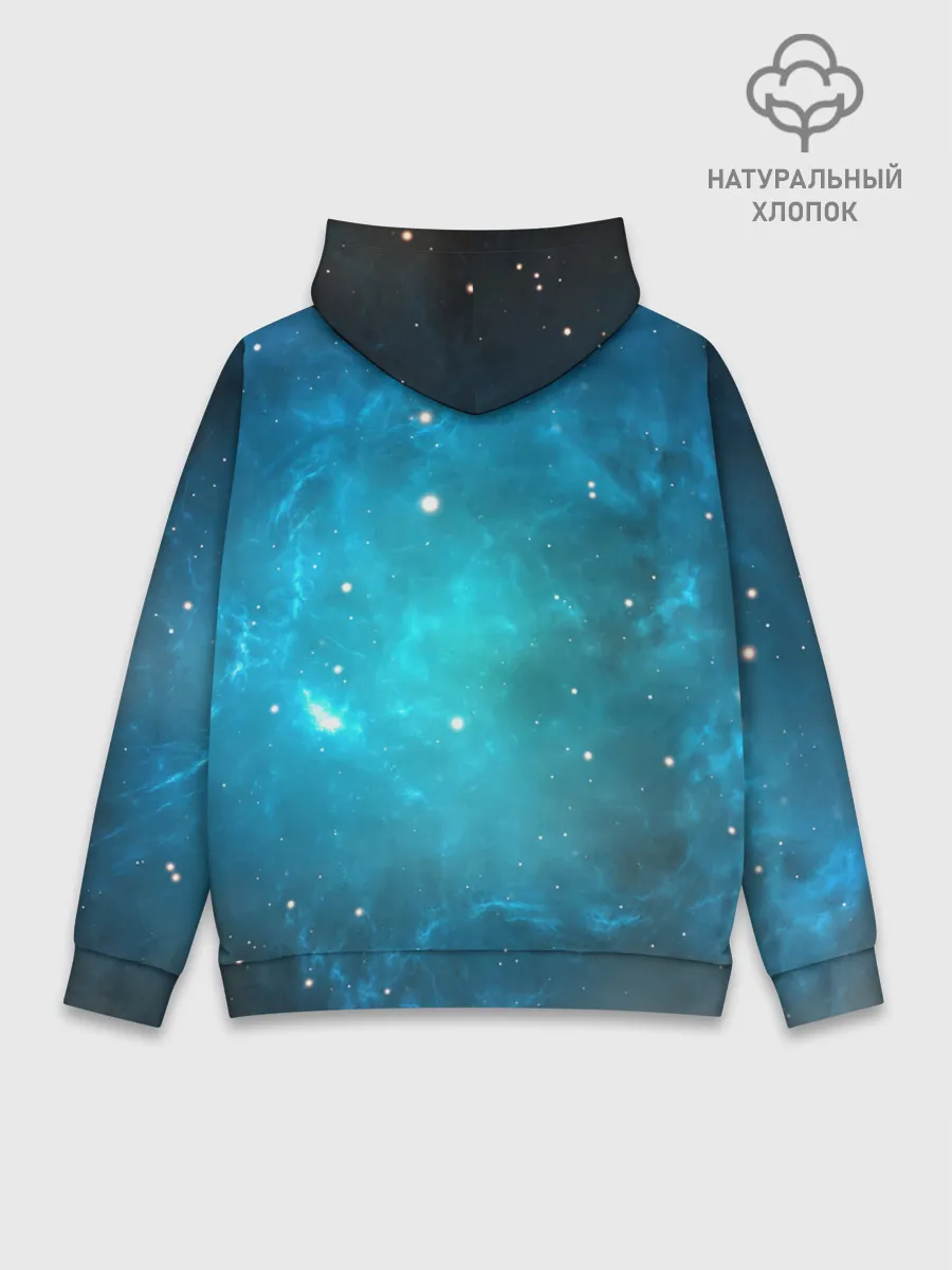 Худи мужской база хлопок / ночная фурия