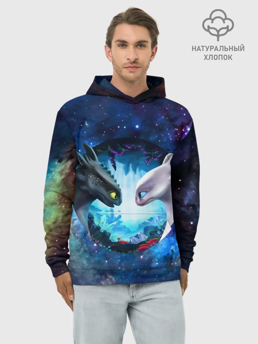 Худи мужской база хлопок / ночная фурия