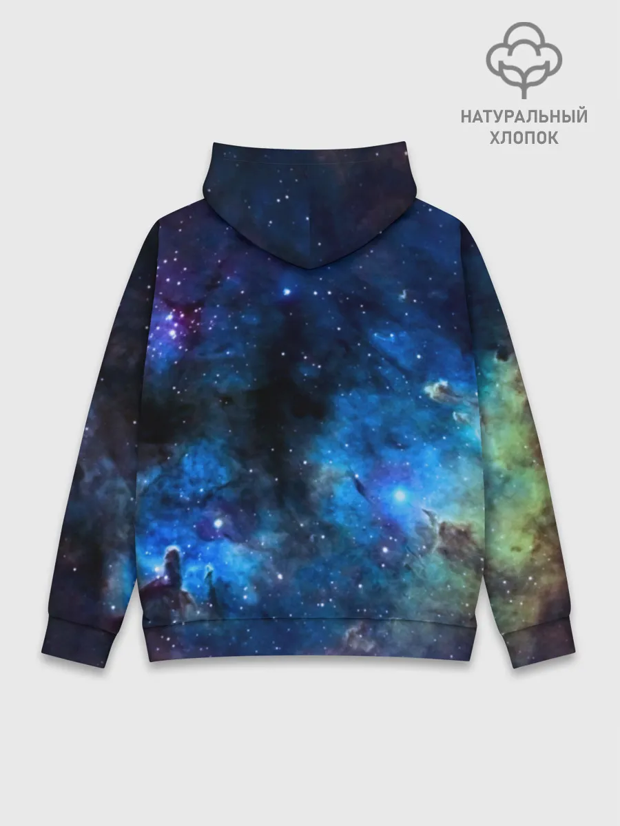 Худи мужской база хлопок / ночная фурия