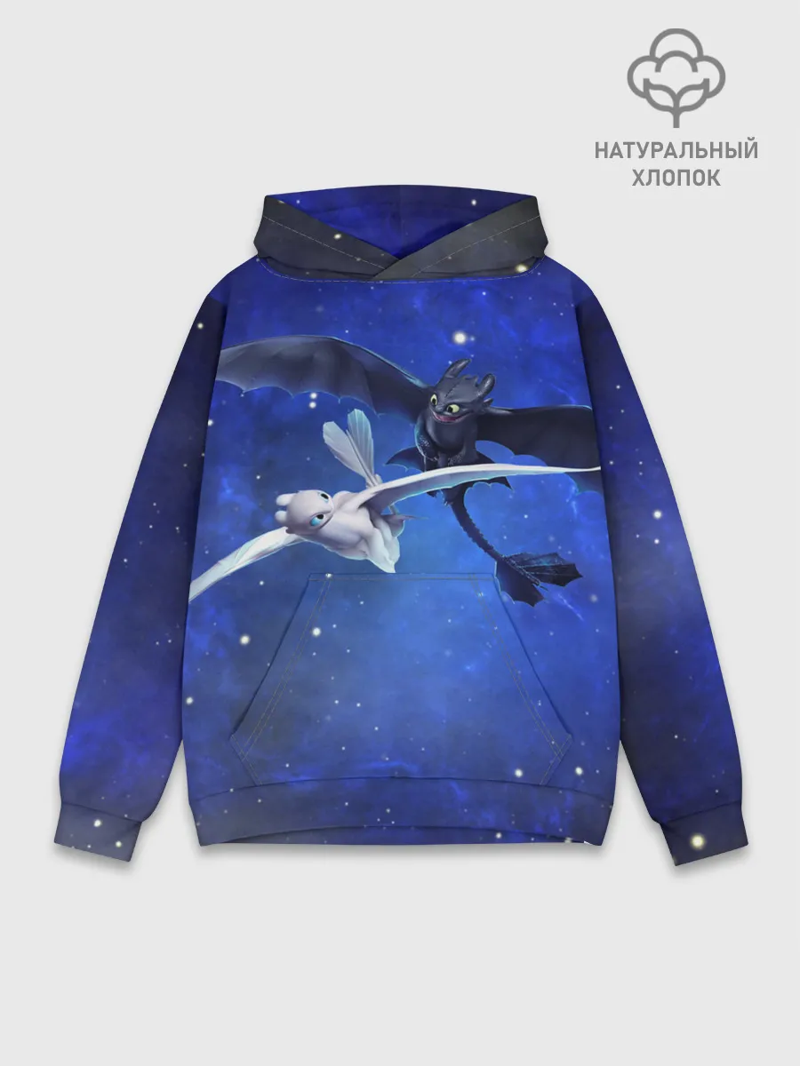 Худи мужской база хлопок / Night Fury