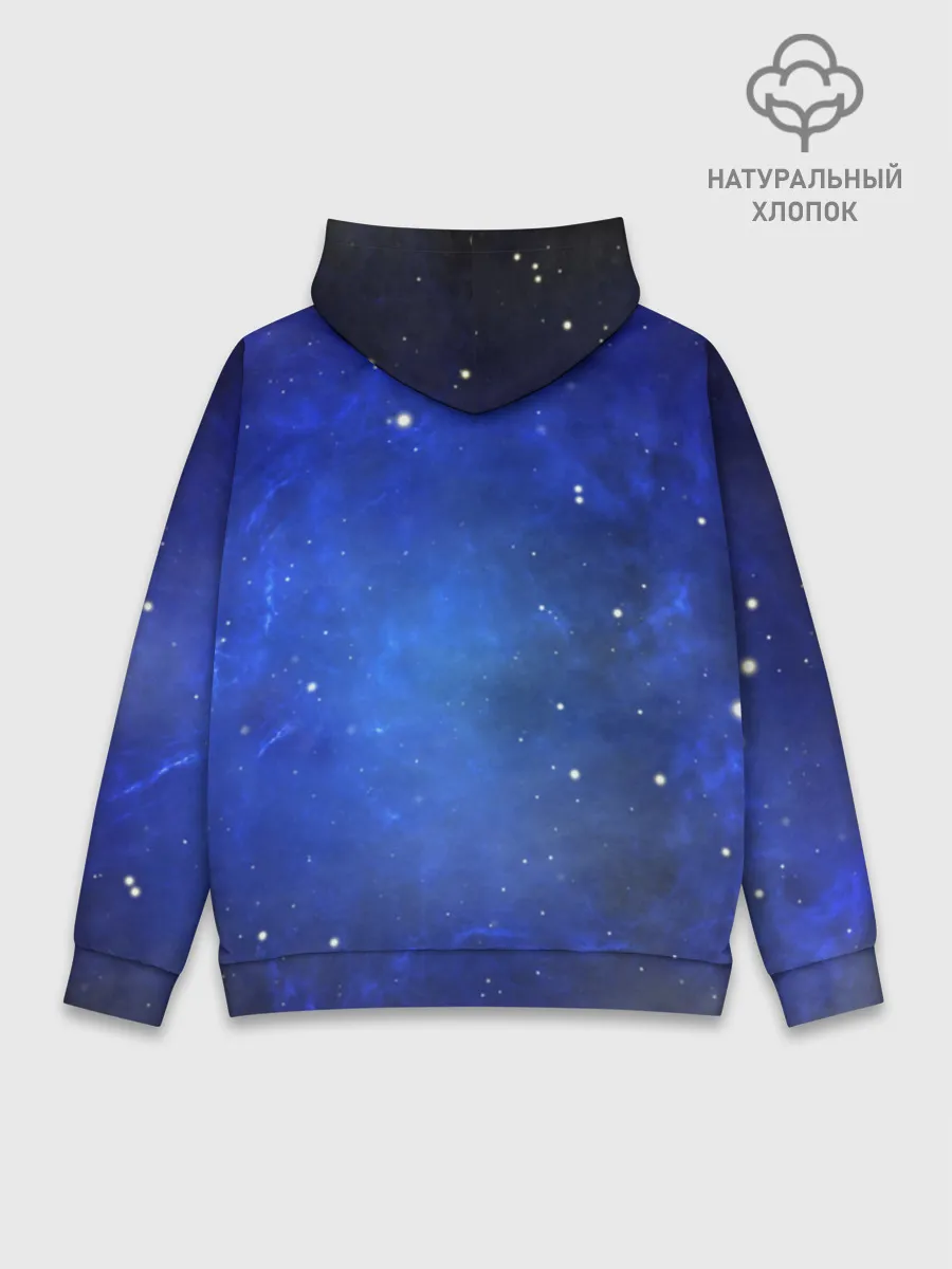 Худи мужской база хлопок / Night Fury