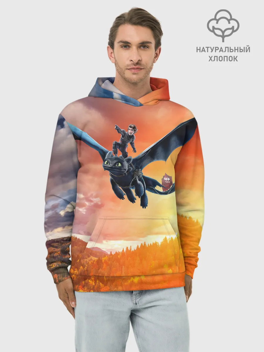 Худи мужской база хлопок / Night Fury