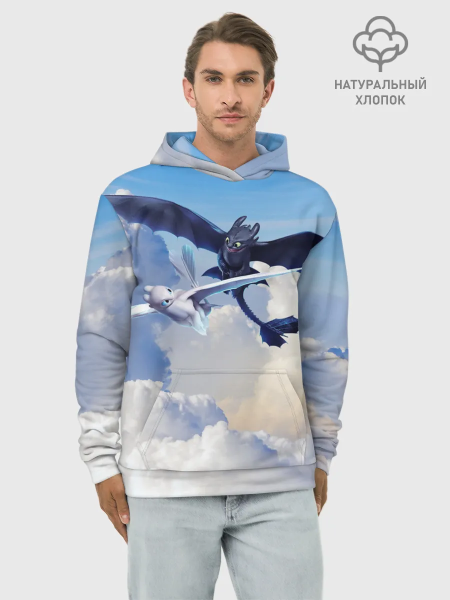 Худи мужской база хлопок / Night Fury