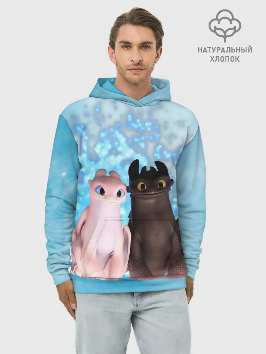 Худи мужской база хлопок / ночная фурия