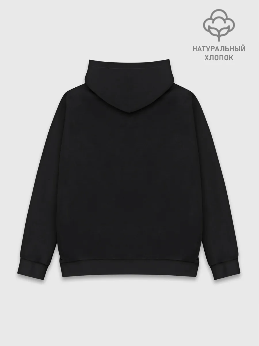 Худи мужской база хлопок / дневная фурия