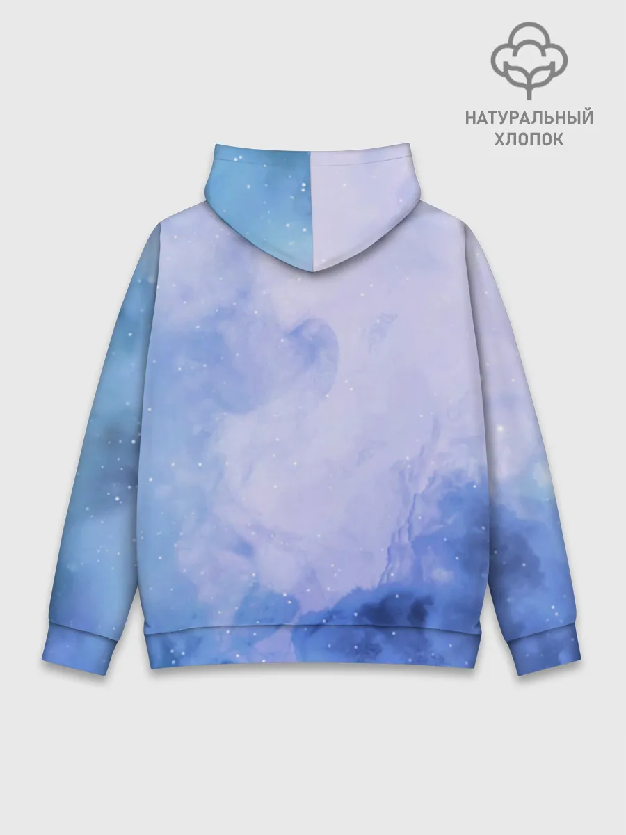 Худи мужской база хлопок / ночная фурия