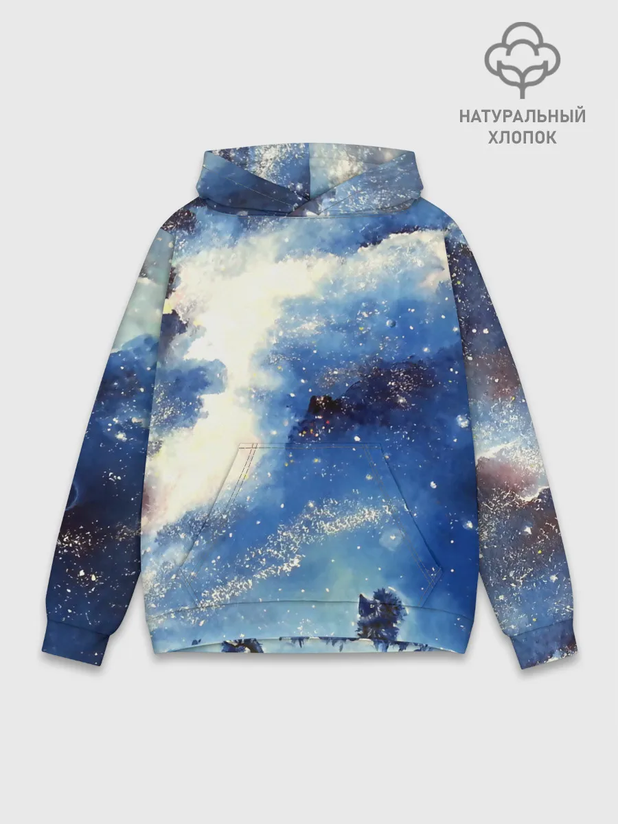 Худи мужской база хлопок / Ёжик в космосе