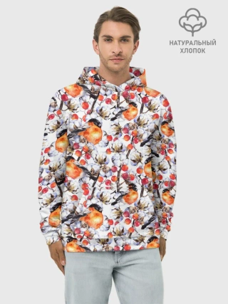 Худи мужской база хлопок / Снегири