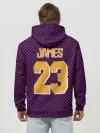Худи мужской база хлопок / Lebron James