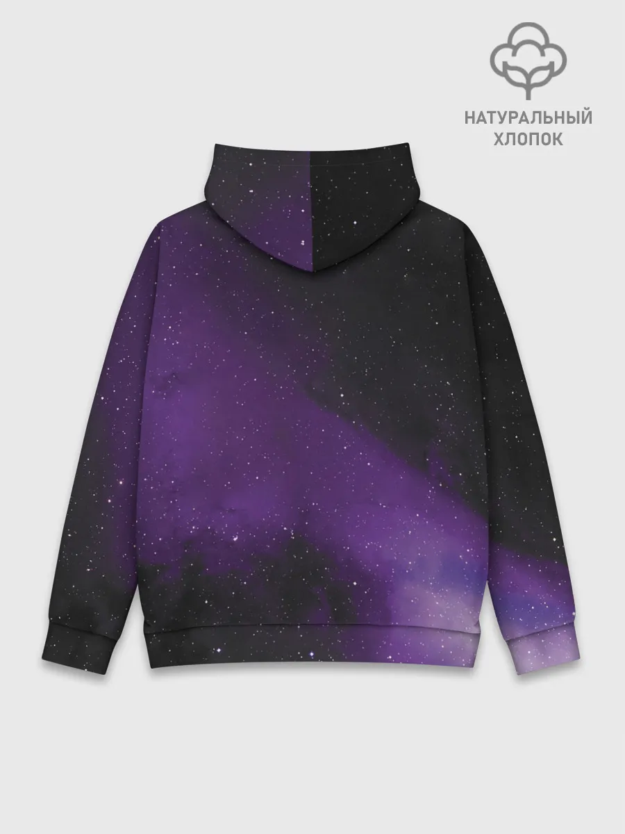 Худи мужской база хлопок / Space 69