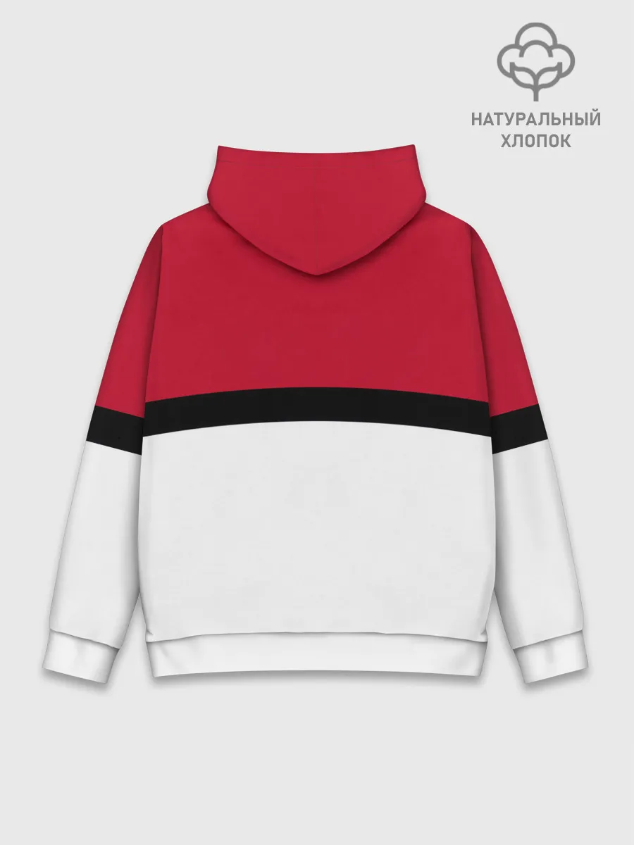 Худи мужской база хлопок / Покебол