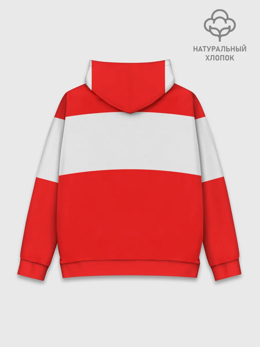 Худи мужской база хлопок / TNT