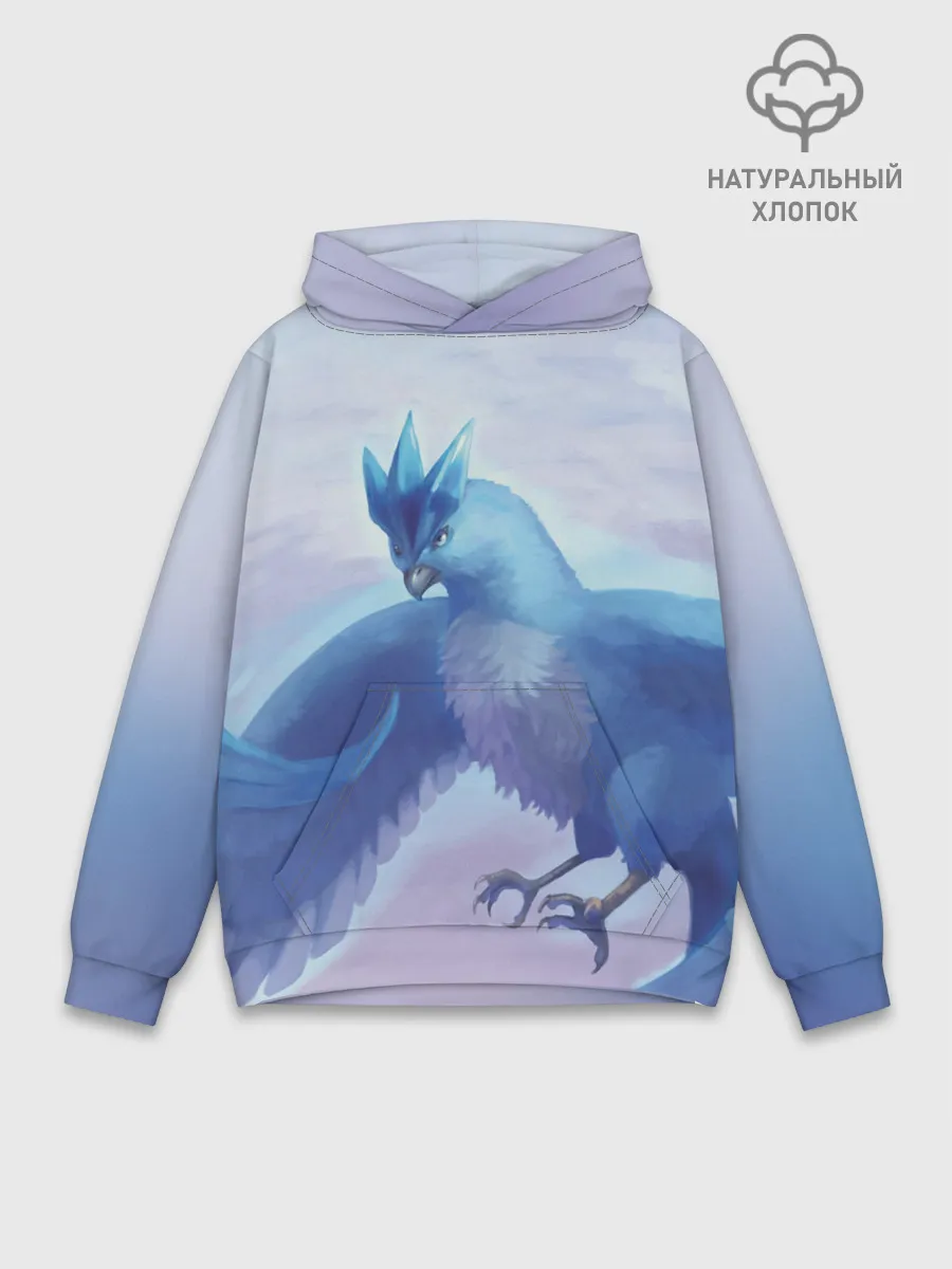 Худи мужской база хлопок / Мистик