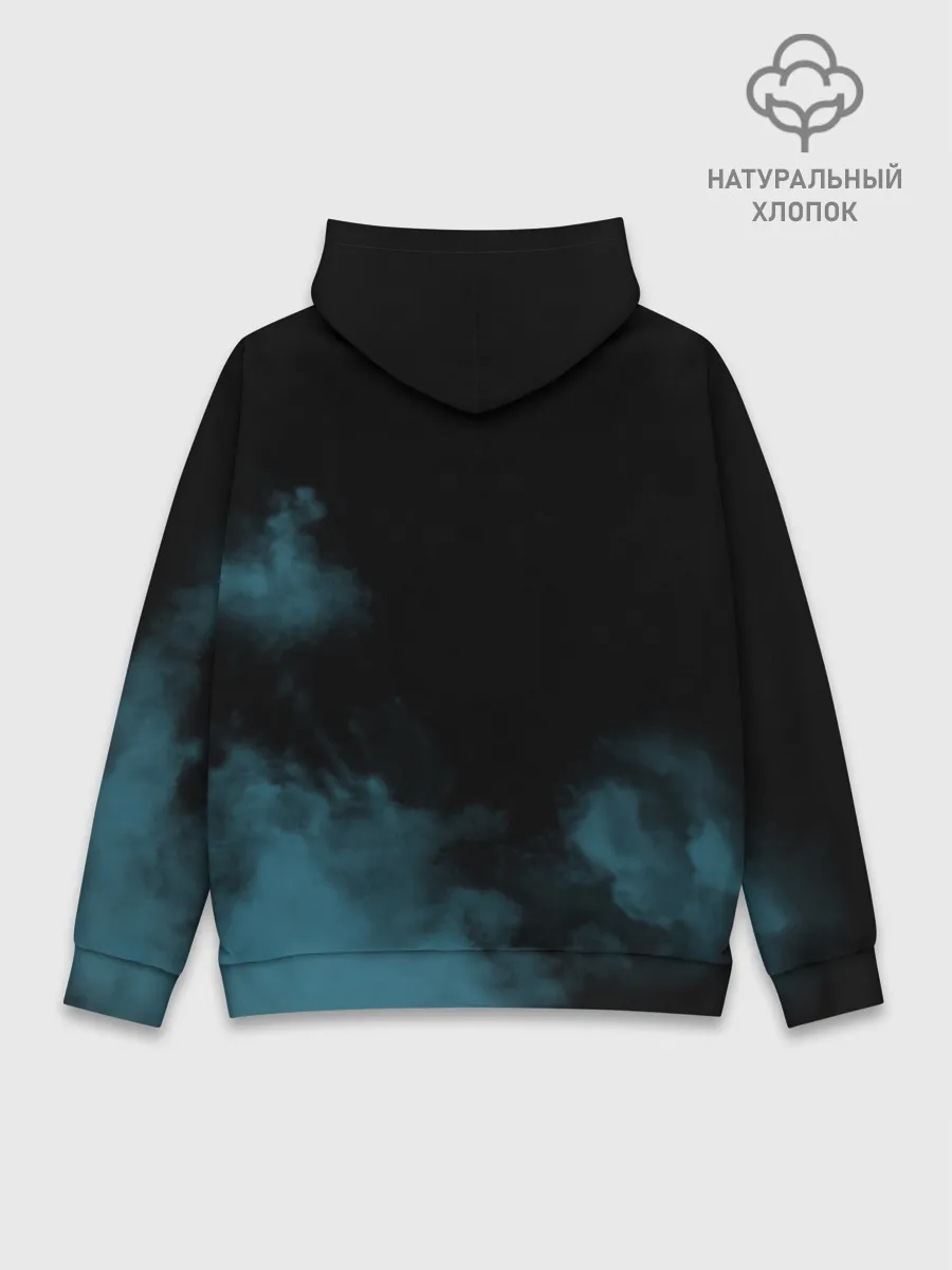 Худи мужской база хлопок / Dont mess with my dog!