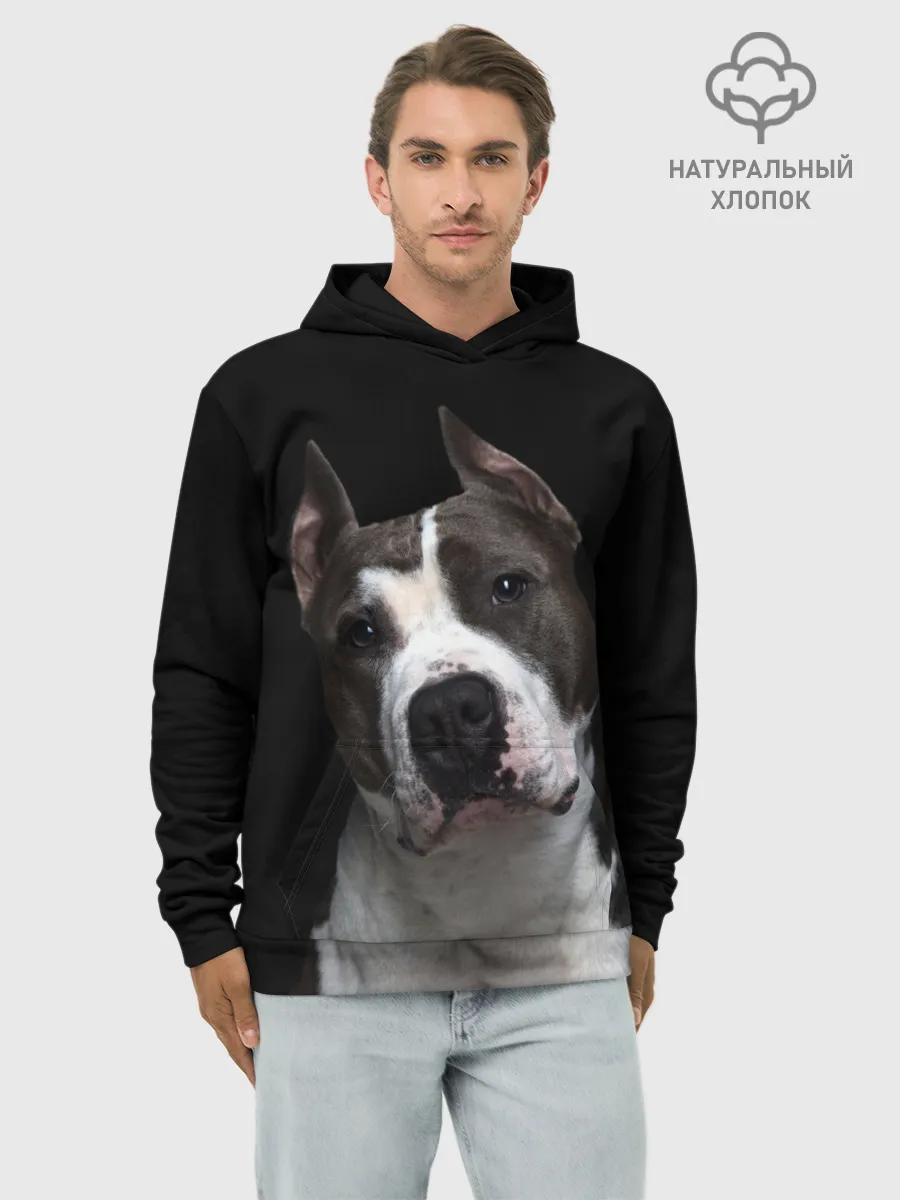 Худи мужской база хлопок / Американский питбуль