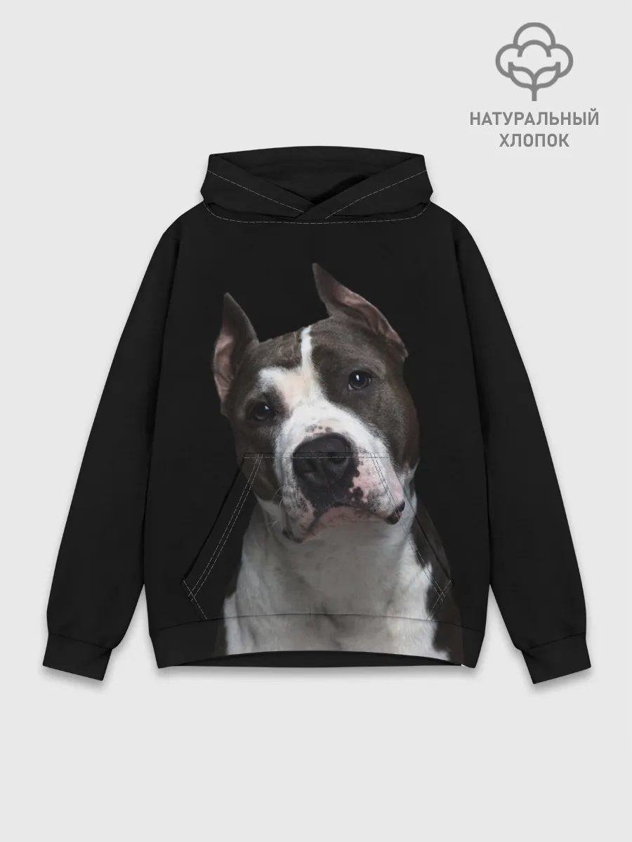 Худи мужской база хлопок / Американский питбуль