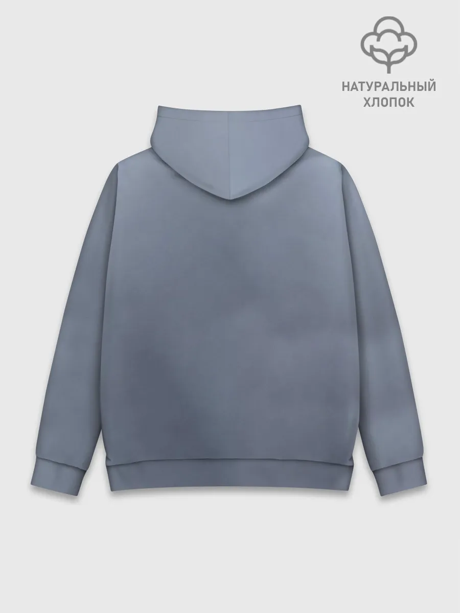 Худи мужской база хлопок / Sally Love