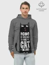 Худи мужской база хлопок / Дом там, где твой кот
