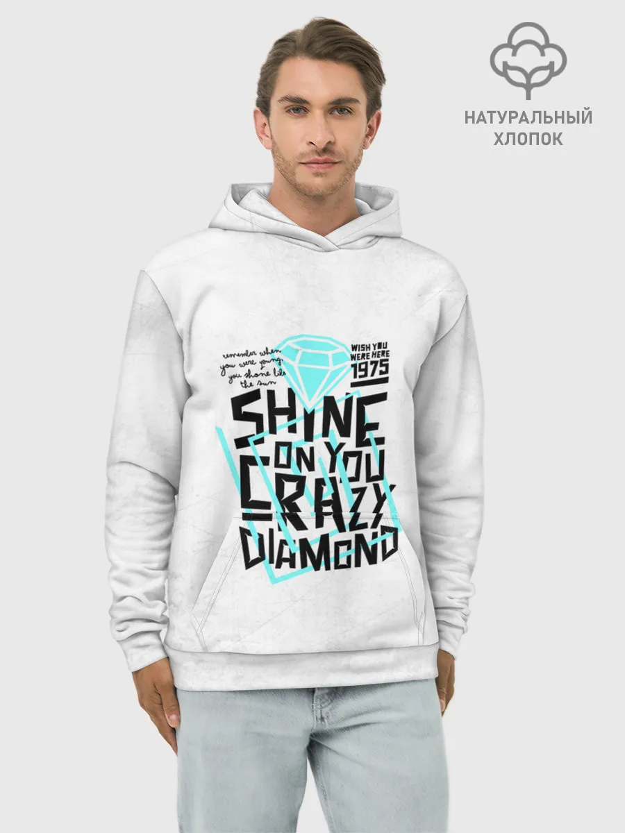 Худи мужской база хлопок / Pink Floyd