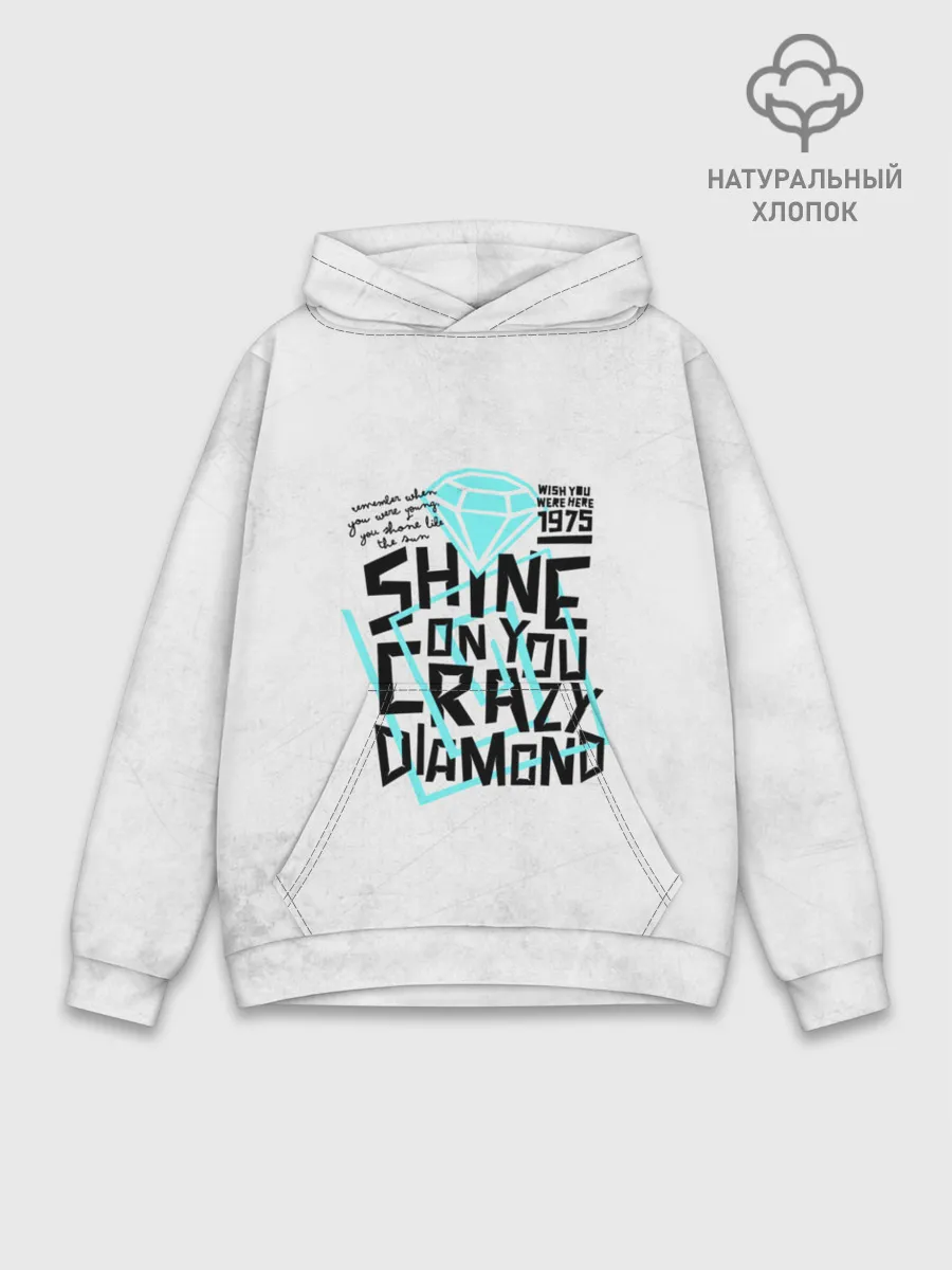 Худи мужской база хлопок / Pink Floyd