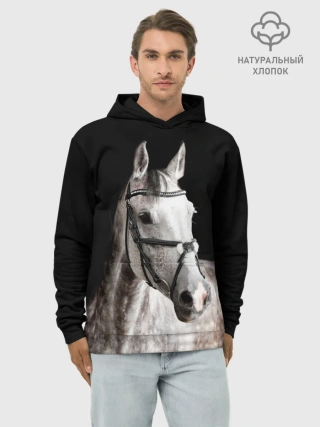 Худи мужской база хлопок / Серный в яблоках конь