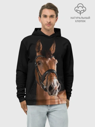 Худи мужской база хлопок / Гнедая лошадь