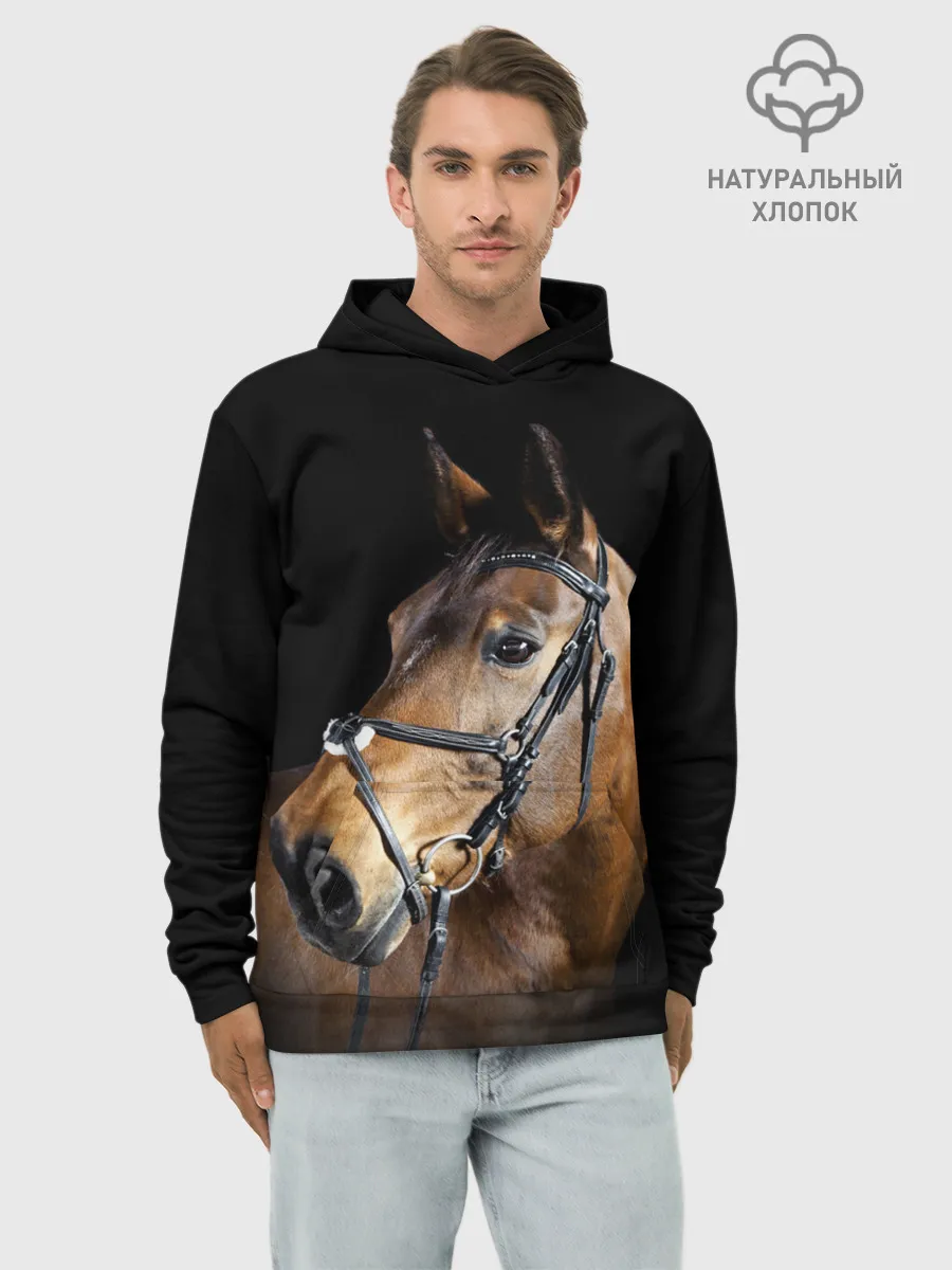Худи мужской база хлопок / Гнедая лошадь