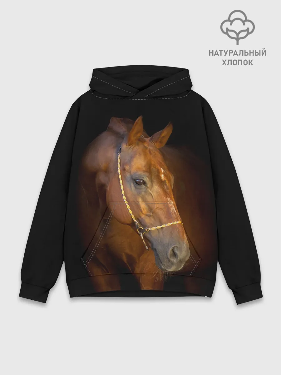 Худи мужской база хлопок / Гнедая лошадь