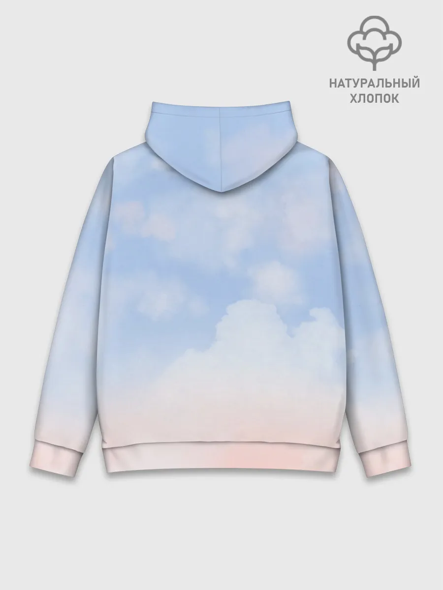 Худи мужской база хлопок / Свик /Самолеты/