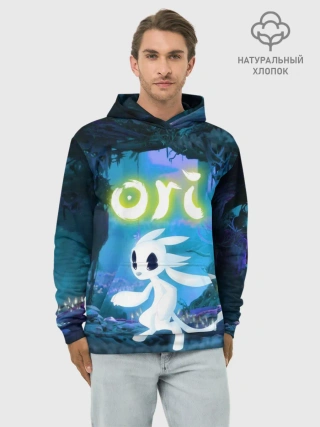 Худи мужской база хлопок / ORI