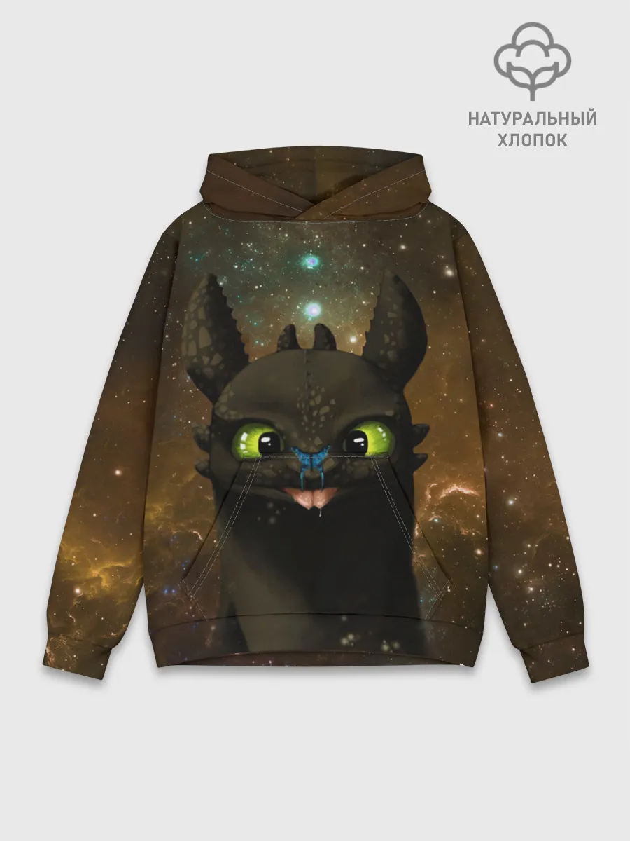 Худи мужской база хлопок / Night Fury