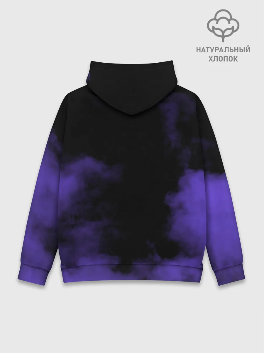 Худи мужской база хлопок / Сектор Газа